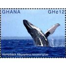 Humpback (Megaptera novaeangliae) - West Africa / Ghana 2017 - 12