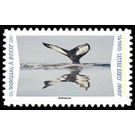 Humpback Whale - France 2020