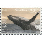 Humpback Whale (Megaptera novaeangliae) - Polynesia / Tonga 2020 - 1