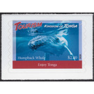 Humpback Whale (Megaptera novaeangliae) - Polynesia / Tonga 2020