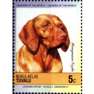 Hungarian Vizsla (Canis lupus familiaris) - Polynesia / Tuvalu, Nukulaelae 1985