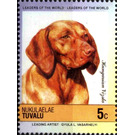 Hungarian Vizsla (Canis lupus familiaris) - Polynesia / Tuvalu, Nukulaelae 1985