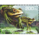 Hungarobatrachus szukacsi - Hungary 2020 - 200