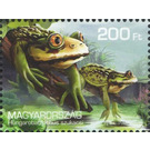 Hungarobatrachus szukacsi - Hungary 2020 - 200