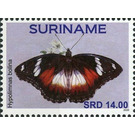 Hypolimnas bolina - South America / Suriname 2020 - 14