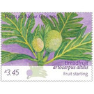 Immature Breadfruit - Melanesia / Papua and New Guinea / Papua New Guinea 2020 - 3.45