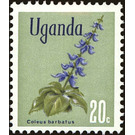 Indian Coleus (Coleus barbatus) - East Africa / Uganda 1969 - 20