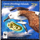 Indian Yellow-nosed Albatross (Thalassarche carteri) - Cocos (Keeling) Islands 2015 - 70