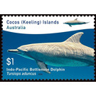 Indo-Pacific Bottlenose Dolphin (Tursiops aduncus) - Cocos (Keeling) Islands 2016 - 1