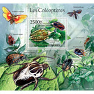 Insects - Beetles - East Africa / Comoros 2011