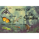 Insects of The Gambia - West Africa / Gambia 2021