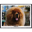 International Dog Exposition - Monaco 2019 - 1.05