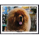 International Dog Exposition - Monaco 2019 - 1.05