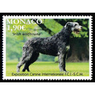 International Dog Show, Monaco : Irish Wolfhound - Monaco 2020 - 1.90