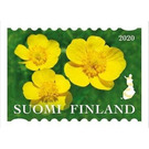 International Year of Plant Health : Flowers - Finland 2020