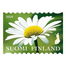 International Year of Plant Health : Flowers - Finland 2020