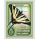 Iphiclides podalirius - Melanesia / Solomon Islands 2017 - 10