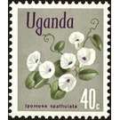 Ipomoea spathulata - East Africa / Uganda 1969 - 40