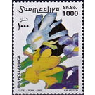 Iris hollandica - East Africa / Somalia 2002