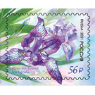Iris tigridia - Russia 2021 - 56