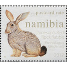 Jameson's Red Rock Rabbit (Pronolagus randensis) - South Africa / Namibia 2017
