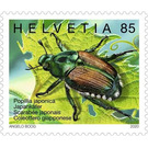Japanese Beetle (Popillia japonica) - Switzerland 2020 - 85