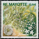 Jasmine - East Africa / Mayotte 2009 - 0.56