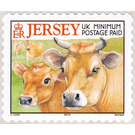Jersey Cow (Bos primigenius taurus) - Jersey 2001