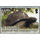 Jonathan The Oldest Living Tortoise - West Africa / Saint Helena 2019 - 1.30