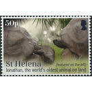 Jonathan The Oldest Living Tortoise - West Africa / Saint Helena 2019 - 50