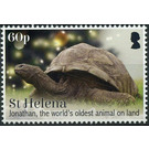 Jonathan The Oldest Living Tortoise - West Africa / Saint Helena 2019 - 60