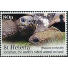 Jonathan The Oldest Living Tortoise - West Africa / Saint Helena 2019 - 80