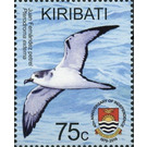 Juan Fernandez Petrel (Pterodroma externa) - Micronesia / Kiribati 2019 - 75