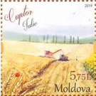 July - Moldova 2019 - 5.75