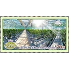 Jungphyong Greenhouse Vegetable Farm - North Korea 2020 - 70
