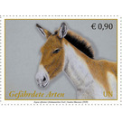 Kiang (Equus kiang) - UNO Vienna 2020 - 0.90