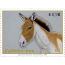 Kiang (Equus kiang) - UNO Vienna 2020 - 0.90