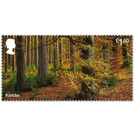 Kielder Forest - United Kingdom 2019 - 1.60