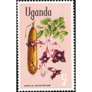 Kigelia aethiopica - East Africa / Uganda 1969 - 5