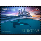 Killer Whale - Norway 2020