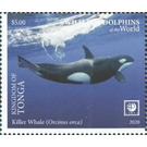 Killer Whale (Orcinus orca) - Polynesia / Tonga 2020 - 5