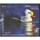 King Eider (Somateria spectabilis) - Polynesia / Cook Islands 2020 - 6.70