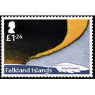 King Penguin (Aptenodytes patagonicus) - South America / Falkland Islands 2019 - 1.26