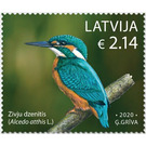 Kingfisher (Alcedo atthis) - Latvia 2019 - 2.14