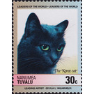 Korat Cat (Felis silvestris catus) - Polynesia / Tuvalu, Nanumea 1985