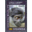 L'Hoest's Monkey (Allochrocebus lhoesti) - East Africa / Uganda 2017