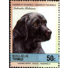 Labrador Retriever (Canis lupus familiaris) - Polynesia / Tuvalu, Nukulaelae 1985