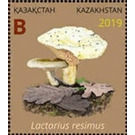 Lactarius resimus - Kazakhstan 2019