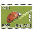 Ladybird - East Africa / Malawi 2019 - 700