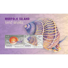 Land Snails - Norfolk Island 2021